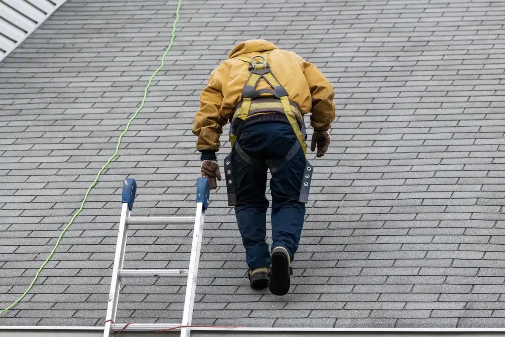 professional uses ladder to inspect roof shingles