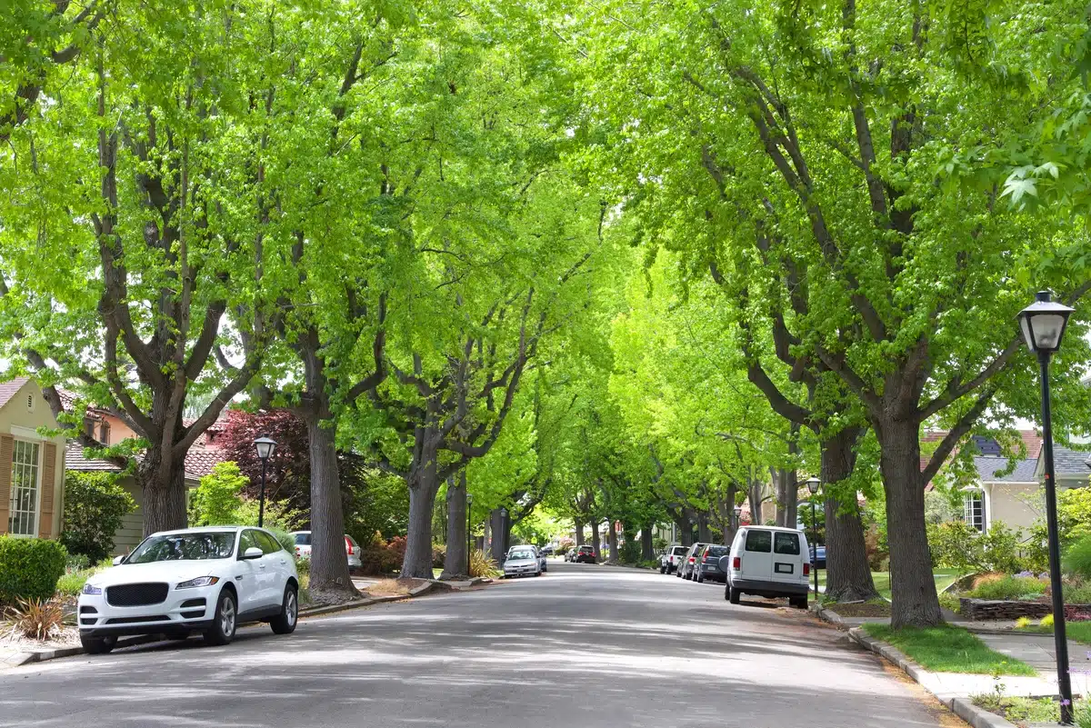 family stays home during roof replacement but parks their car on street out of the way