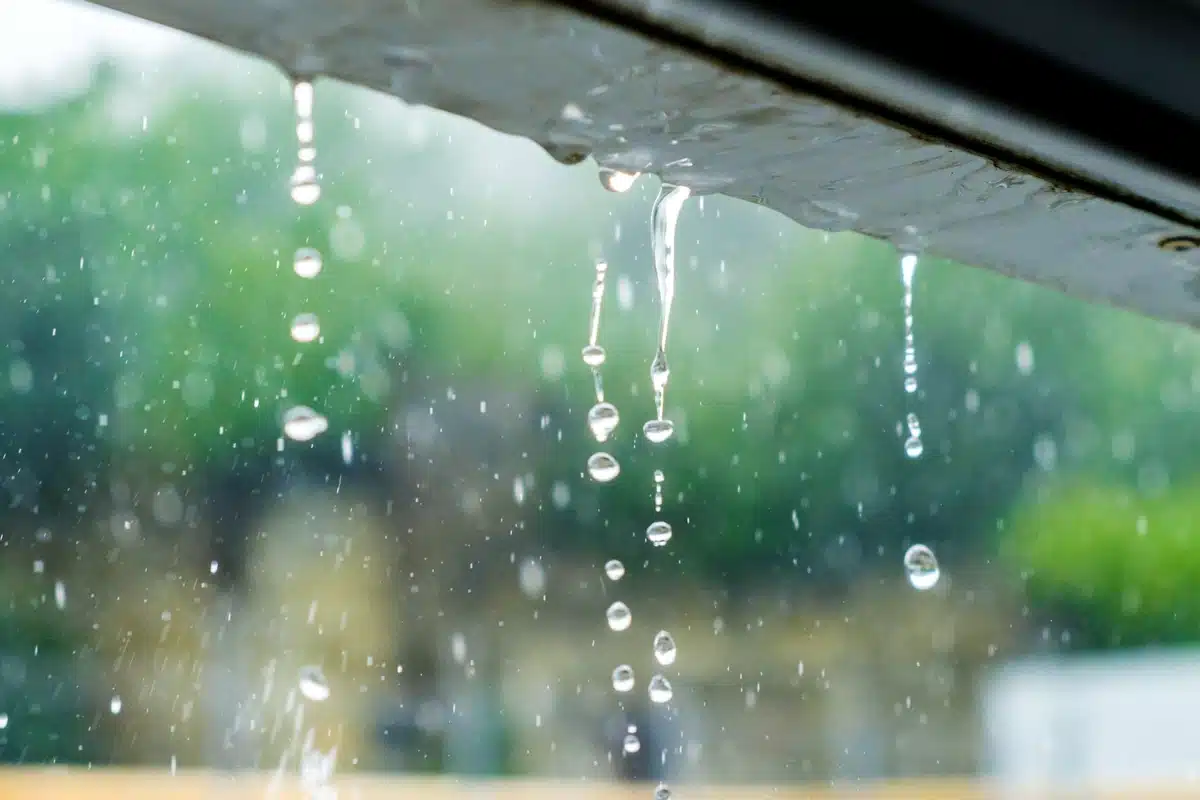 roof scams will usually deal with recent storms