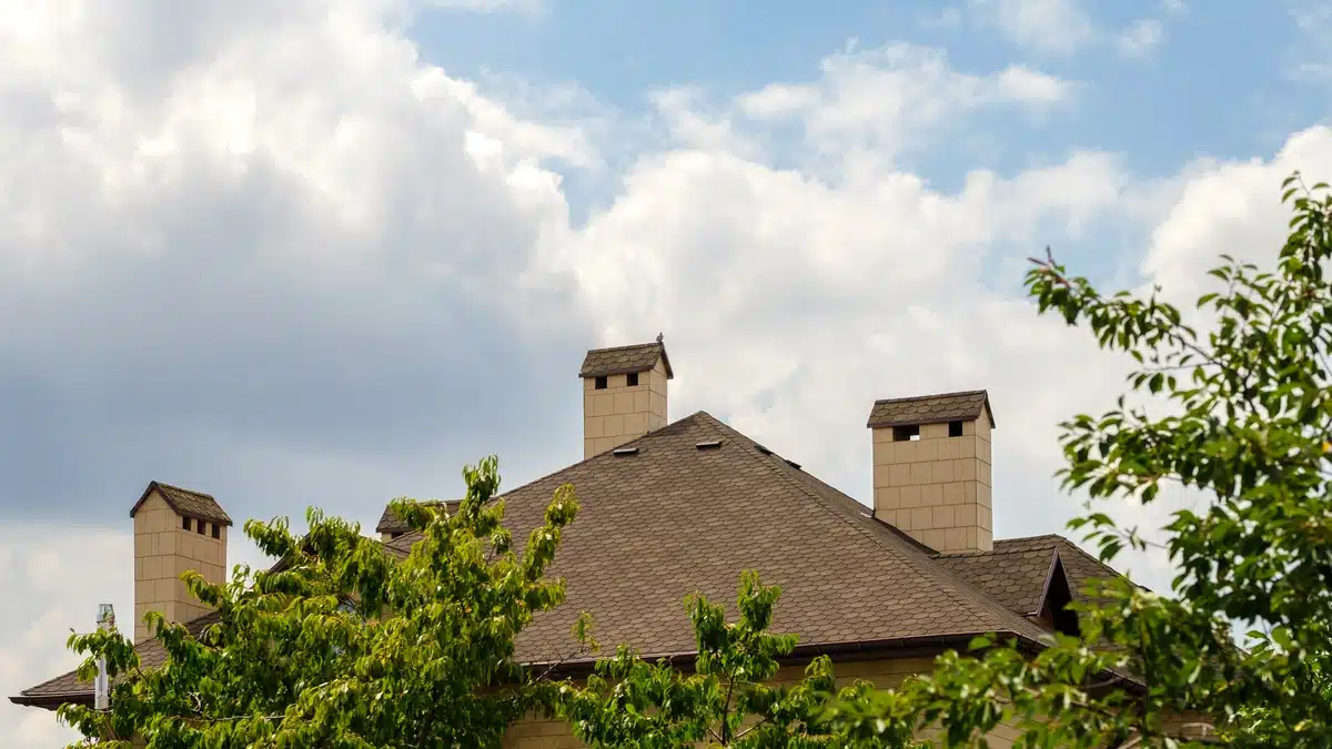 brown shingle roof